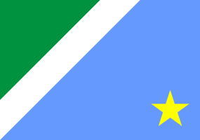 Flag of Mato Grosso do Sul